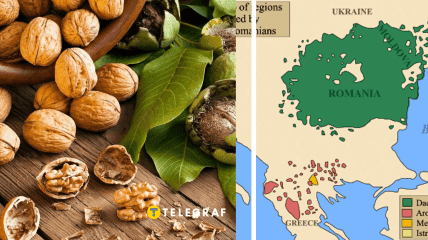 Why is the nut called "walnut"? A historian explains the origins of this term.