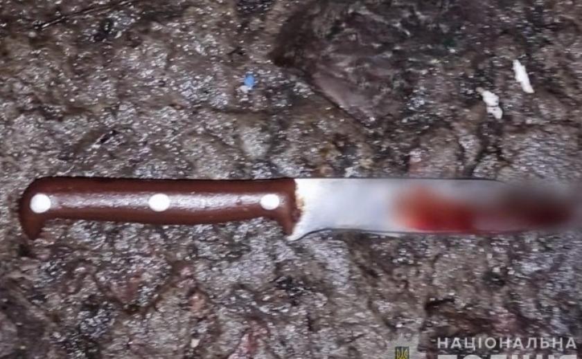 A man was arrested in the Kamyanske district for allegedly stabbing his son, causing serious bodily harm.