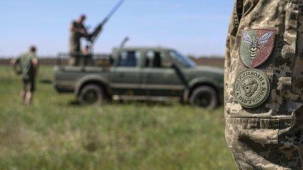 Полк з жалом: чому оса стала символом протиповітряних захисників України.