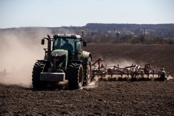 Український агросектор влітку 2024 року: спека, заміновані поля, дефіцит фінансів