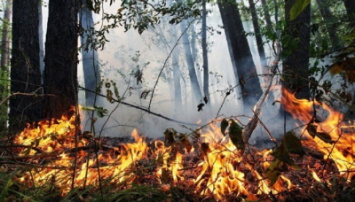 11-12 квітня на Київщині оголошено пожежну небезпеку (ФОТО)
